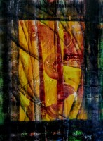 /album/galleria-foto-homepage2/conchiglie-jpg1/