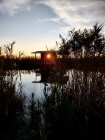 /album/galleria-foto-homepage2/img-20211119-163451049-hdr-2-jpg/