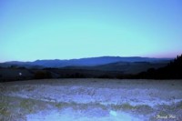 /album/galleria-foto-homepage2/b9ab78c6-a478-4e3a-8f93-e39597d6373a-jpg/