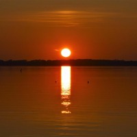 /album/galleria-foto-homepage2/artworks-ctoksyq66c0bceeu-pbrrgw-t500x500-jpg/