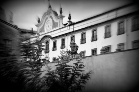 Certosa -particolare 4