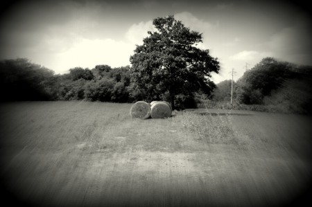 Nugola - Tuscany - Italy